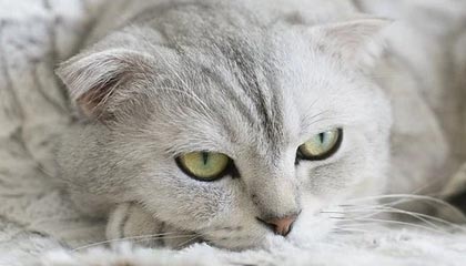 九游娱乐(jiuyou)官网-快船计划组织封闭战术演练提升配合度，快船模式