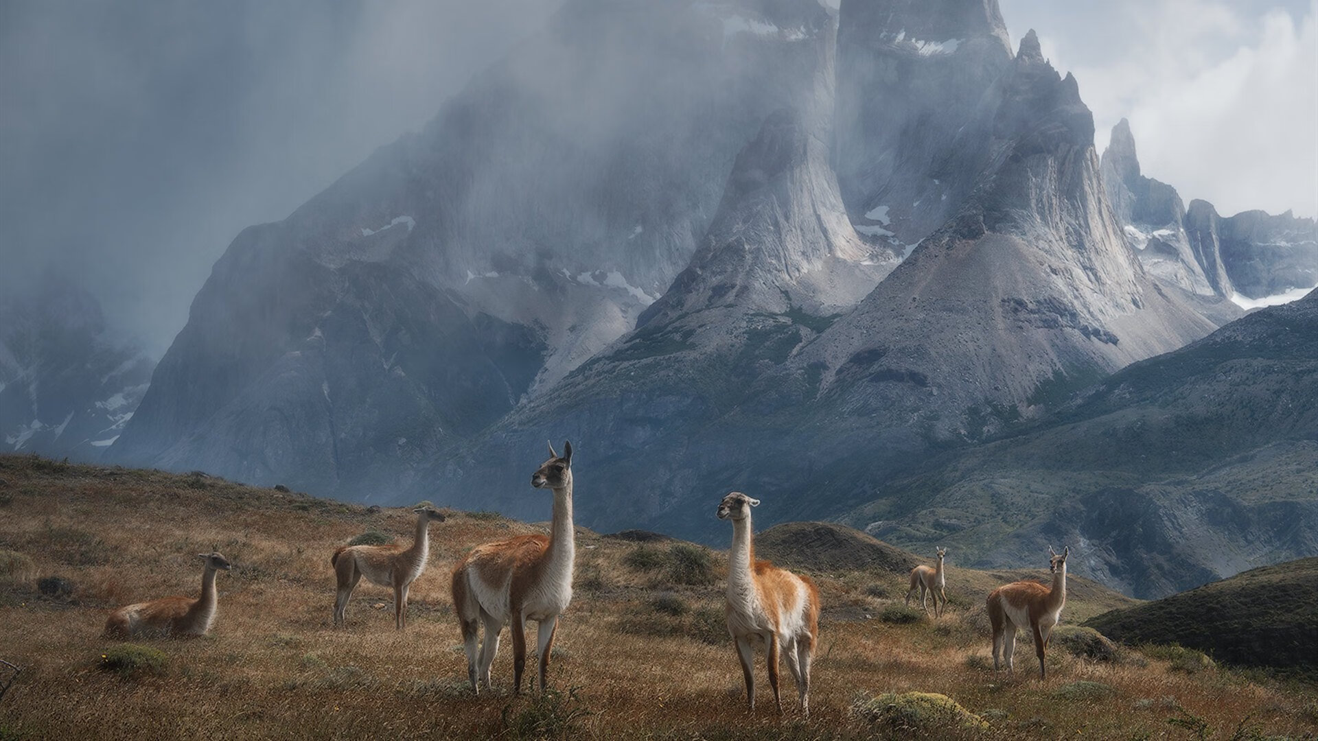 九游官网-乌拉圭男足在巴黎奥运会上表现出色，赢得铜牌，乌拉圭男足主帅