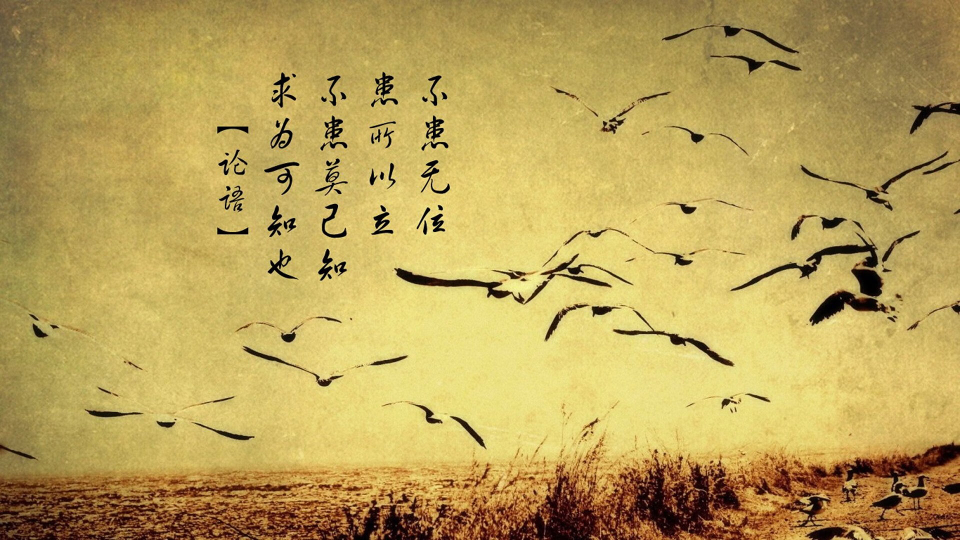 史上最激烈“冠军争夺战”回顾，冠军争夺战 综运动